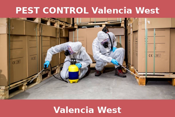 PEST CONTROL Valencia West